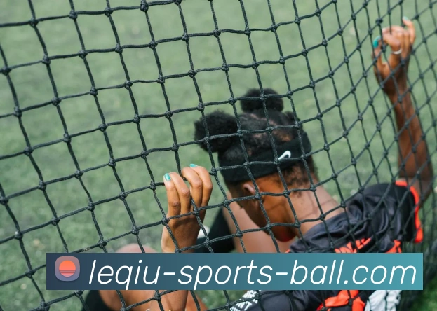 乐球体育平台生态图